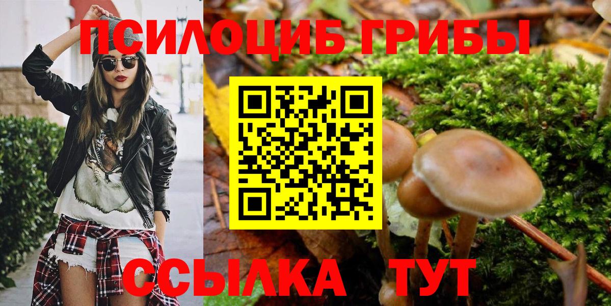 Рузаевка  Псилоцибиновые грибы мухоморы  Галлюциногенные грибы Cubensis  Вход с VPN 